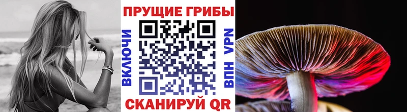 Псилоцибиновые грибы мухоморы Туймазы